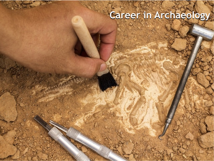 Career in Archaeology