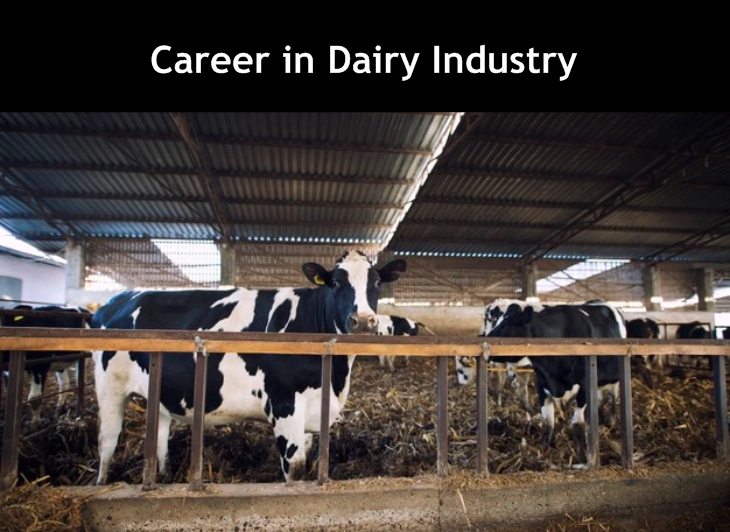 Career in Dairy industry