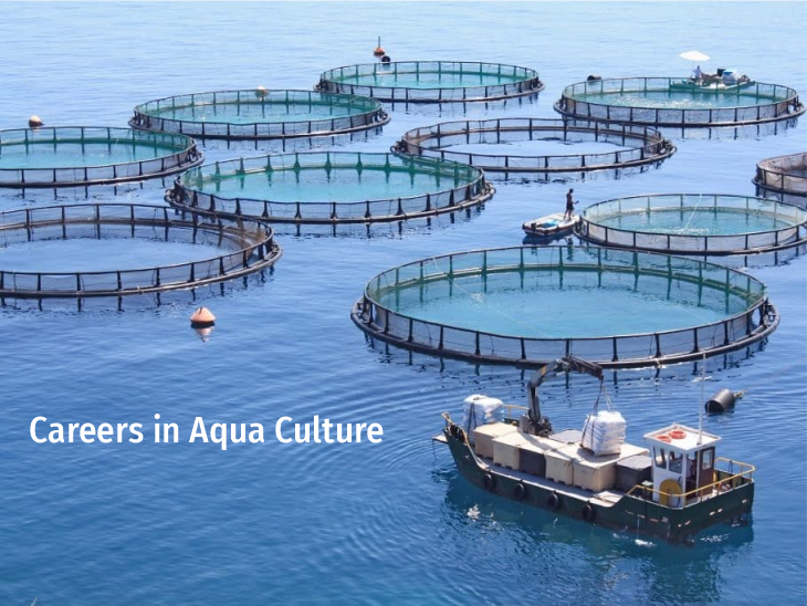 Careers in Aqua culture